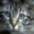 Uporabniški avatar